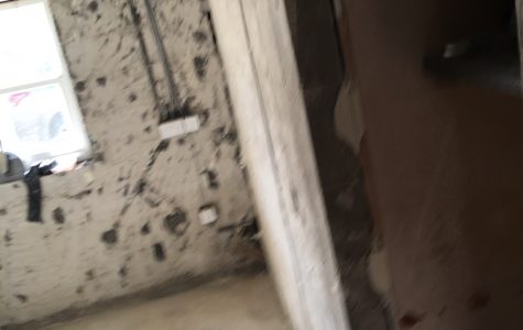 IMG_0081