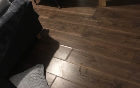 UNADJUSTEDNONRAW_thumb_27b3