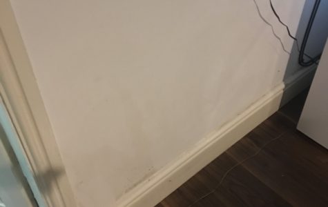 UNADJUSTEDNONRAW_thumb_27b7