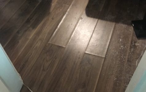 UNADJUSTEDNONRAW_thumb_27bd