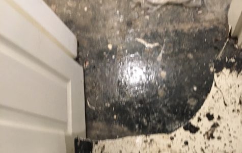 UNADJUSTEDNONRAW_thumb_27c2